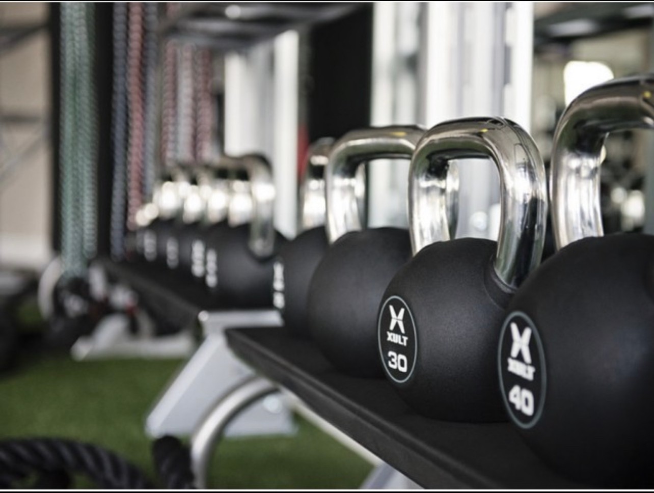 Workout Plans
